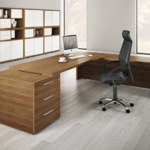 Kara Rectengular Desk With Panel Legs Main Image