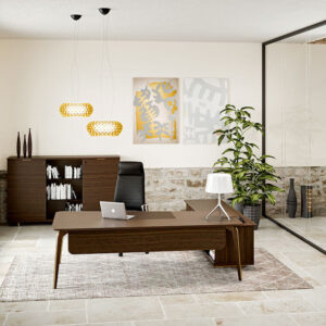 Aletta 2 Side Bowed Shaped Executive Desk In Wood Main Image