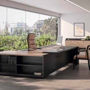 Alberto Executive Desk With Optional Return And Credenza Unit 2