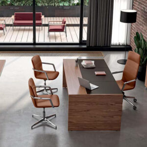 Carissa Wood Veneer Executive Desk 4